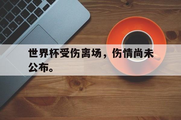 爱游戏网页版官网登录-世界杯受伤离场，伤情尚未公布。
