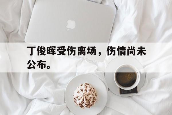 爱游戏网页版入口-丁俊晖受伤离场，伤情尚未公布。